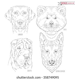 hand drawn animal set of dogs, Akita, Shar pei, Labrador, German Shepherd