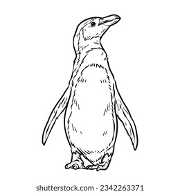 hand drawn animal sketch illustration. animals for coloring book. Animal Outline. vector illustration for children. Cute cartoon characters. Farm, forest and jungle animals. animals line art.