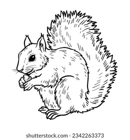 hand drawn animal sketch illustration. animals for coloring book. Animal Outline. vector illustration for children. Cute cartoon characters. Farm, forest and jungle animals. animals line art.
