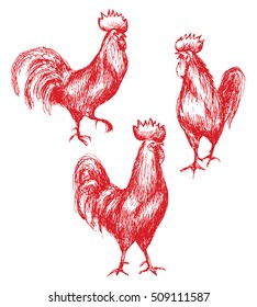 Hand drawn animalistic illustration. Red roosters sketch.  Walking cocks set isolated on white.