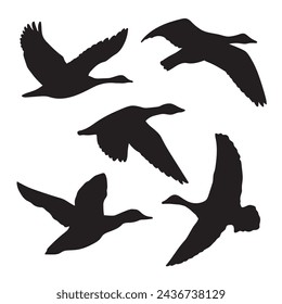 Hand drawn animals bird silhouette set