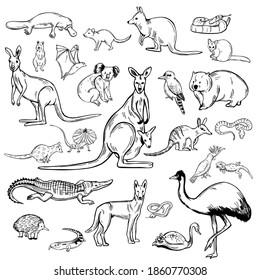 Hand drawn animals and birds of Australia. Vector sketch illustration.