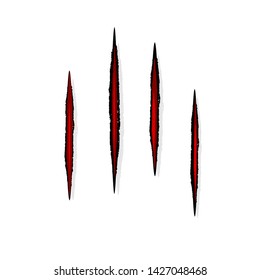 Hand drawn animal's claws scratch isolated on white background vector illustration.