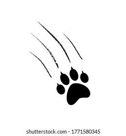 Hand drawn animal's claws scratch with paw isolated on white background vector illustration еps 10