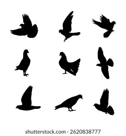 Hand drawn animals pigeon silhouette set collection
