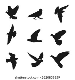 Hand drawn animals pigeon silhouette set on black color