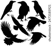 Hand drawn animals silhouette set
Terrifying halloween silhouette
Raven silhouette Crow silhouette