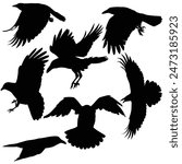 Hand drawn animals silhouette set
Terrifying halloween silhouette
Raven silhouette Crow silhouette