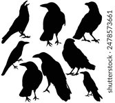 Hand drawn animals silhouette set
halloween silhouette
Raven silhouette Crow silhouette
