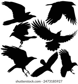 Hand drawn animals silhouette set
Terrifying halloween silhouette
Raven silhouette Crow silhouette