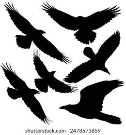 Hand drawn animals silhouette set
halloween silhouette
Raven silhouette Crow silhouette