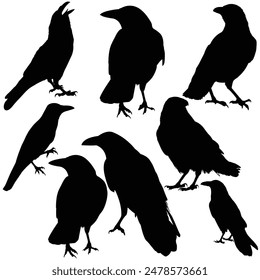 Hand drawn animals silhouette set
halloween silhouette
Raven silhouette Crow silhouette