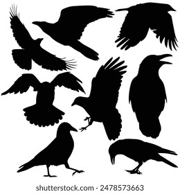 Hand drawn animals silhouette set
halloween silhouette
Raven silhouette Crow silhouette