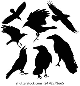 Hand drawn animals silhouette set
halloween silhouette
Raven silhouette Crow silhouette