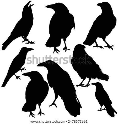 Hand drawn animals silhouette set
halloween silhouette
Raven silhouette Crow silhouette