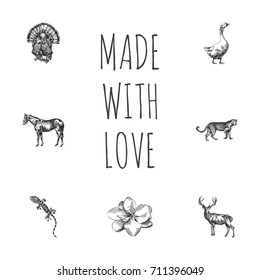 Hand Drawn Animals Sketches Set. Collection Of Mustang, Canard, Tiger And Other Sketch Elements.