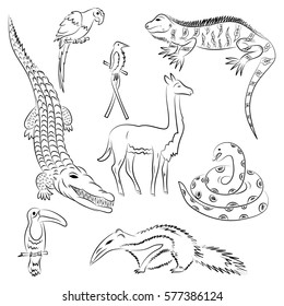 Hand Drawn Animals of South America. Doodle Drawings of Iguana, Crocodile, Parrot Ara, Toucan, Hummingbird,Anaconda, Anteater and llama. Sketch Style. Vector Illustration.