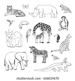 Hand drawn animals vector doodle graphic illustrations set