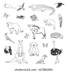 Hand drawn animals vector doodle graphic illustrations set