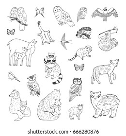 Hand Drawn Animals Vector Doodle Graphic Illustrations Set