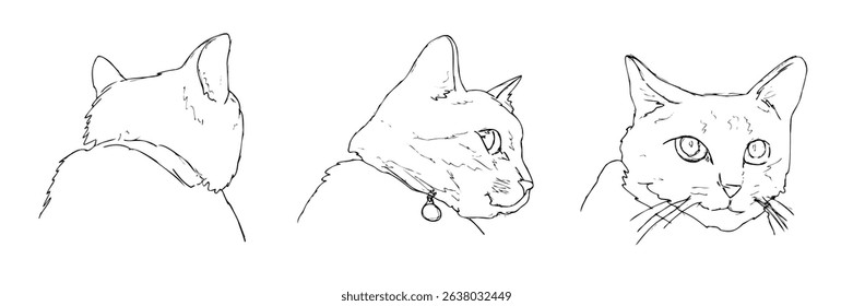 Hand drawn animation sketch of cat face isolated on white background.