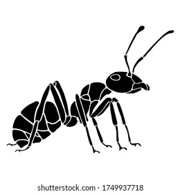 Hand drawn ant in black and white. As vector data, adjustable and customizeable at will. Usable for cards, logos or poster.