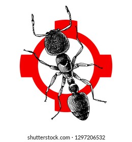 Hand drawn ant illustration on crosshatch. Vector illutration