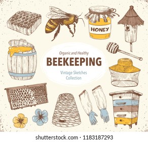 Hand drawn apiary objects. Beekeeping inventory in sketch style. Vector Illustration.