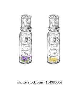 hand drawn apothecary flasks with mandrake root and lavender dried herb