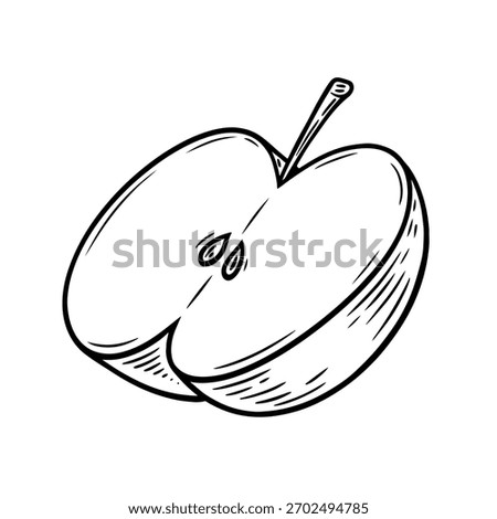 Hand drawn apple fruit, monochrome engraving, line art style vector illustration isolated on white background