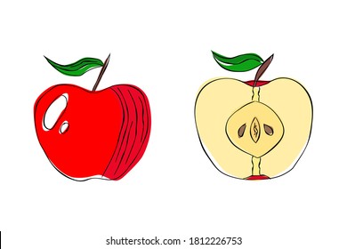 A hand drawn apple and a half of it isolated on white background. Unique design, good for projects.