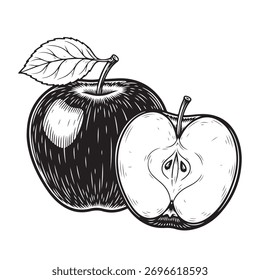 Manzana dibujada a mano con la mitad aislada en el fondo blanco Ilustración vectorial vintage