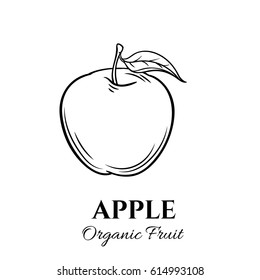Hand drawn apple icon. Vector badge fruit in the old ink style for brochures, banner, restaurant menu and market