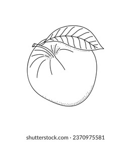 Hand drawn apple isolated on white isolated background. It can be used for decoration of textile, paper and other surfaces.