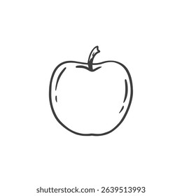 hand drawn apple isolated on white. Apple in doodle style. Vector