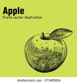 Hand drawn apple isolated on green background. Fruits sketch elements. Art hand-drawn vector illustration. Great for poster, banner, voucher, coupon.