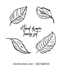 Hand drawn apple leaves set. Collection of fruit trees leaves. The basis for creating patterns, tree branches, spring, summer and autumn illustrations.1