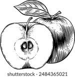 Hand drawn Apple Sketch Illustration