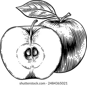 Handgezeichnete Apple Skizze Illustration