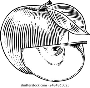 Handgezeichnete Apple Skizze Illustration