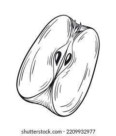 Hand drawn apple slice. Part of ripe fruit with seeds, botany and agriculture, farming. Sticker for social networks and messengers. Poster or banner for website. Cartoon flat vector illustration