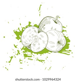 Hand drawn apple vector  sketch on grunge green background. Vegeterian fruit background. 