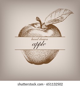 Hand drawn apple in vintage graphic style.Apple with leaf. Vector illustration with label.