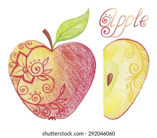 Hand drawn apple: whole and half. Vector illustration