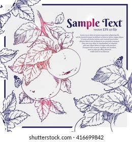 hand drawn apples background. 