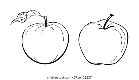 Manzanas dibujadas a mano con la ilustración del arte de la línea botánica en blanco y negro de la hoja aislada en el fondo blanco