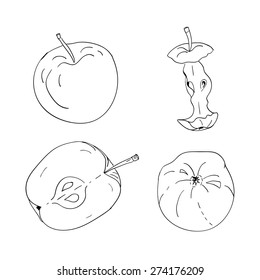 Hand Drawn Apple's Set. Sketch. Vector. Design Elements.