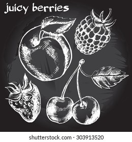  Hand drawn apricot, cherries, strawberry and blackberry. Vector Illustration.