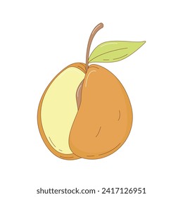 Hand drawn apricot fruit vector illustration. Creative hand drawn fruit vector element