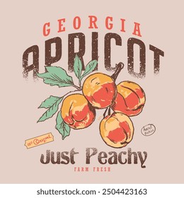 Gráficos de Vector de albaricoque dibujados a mano, camiseta fresca de los melocotones de Georgia de la granja, regalo retro del amante de la fruta, camiseta gráfica de los melocotones escogidos a mano, camisa del producto de la granja de Antiguas